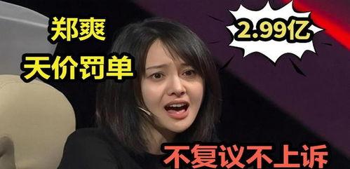 塌房明星爆料视频大全集,塌房明星爆料视频大全集深度解析  第1张