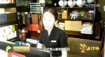 茶叶爆料视频大全集最新,揭秘茶叶界的秘密与传奇  第3张